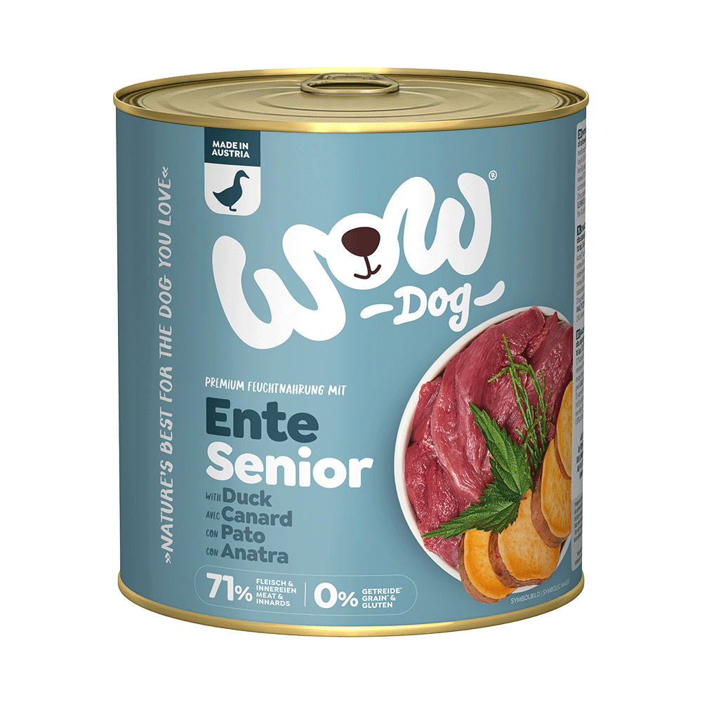 Bild: WOW Ente Senior 