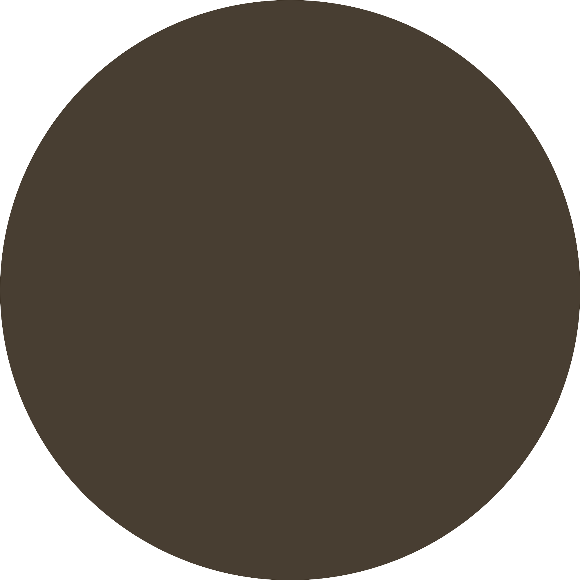 Bild: Catrice Shape & Shade Brow Pencil Waterproof Dark Truffle 060