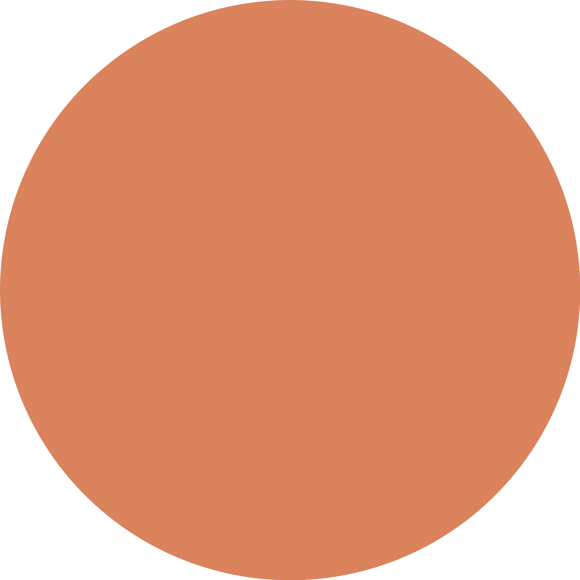 Bild: essence soft touch mousse blush Cozy Clay 10