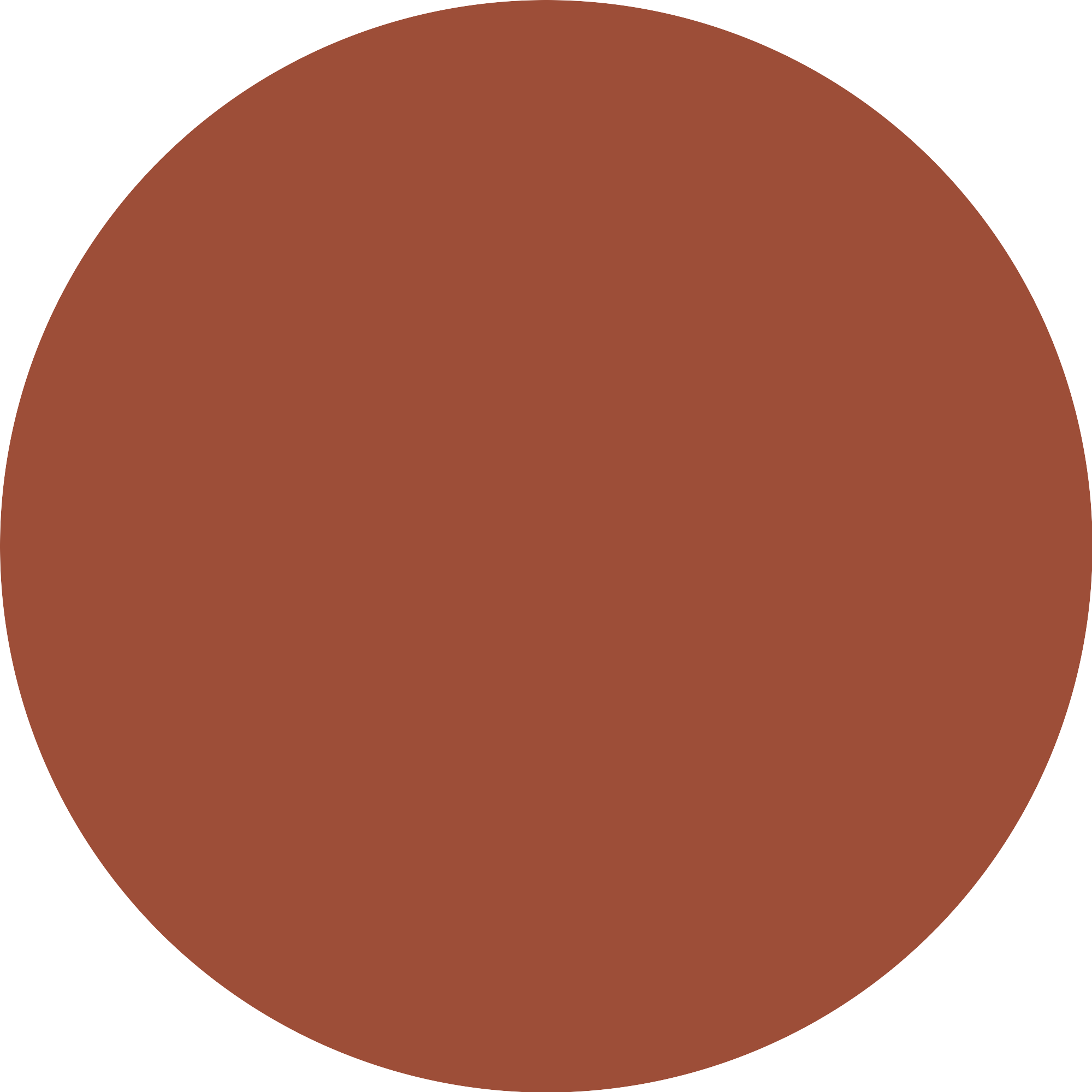 Bild: essence soft touch mousse blush Rustic Rouge 20