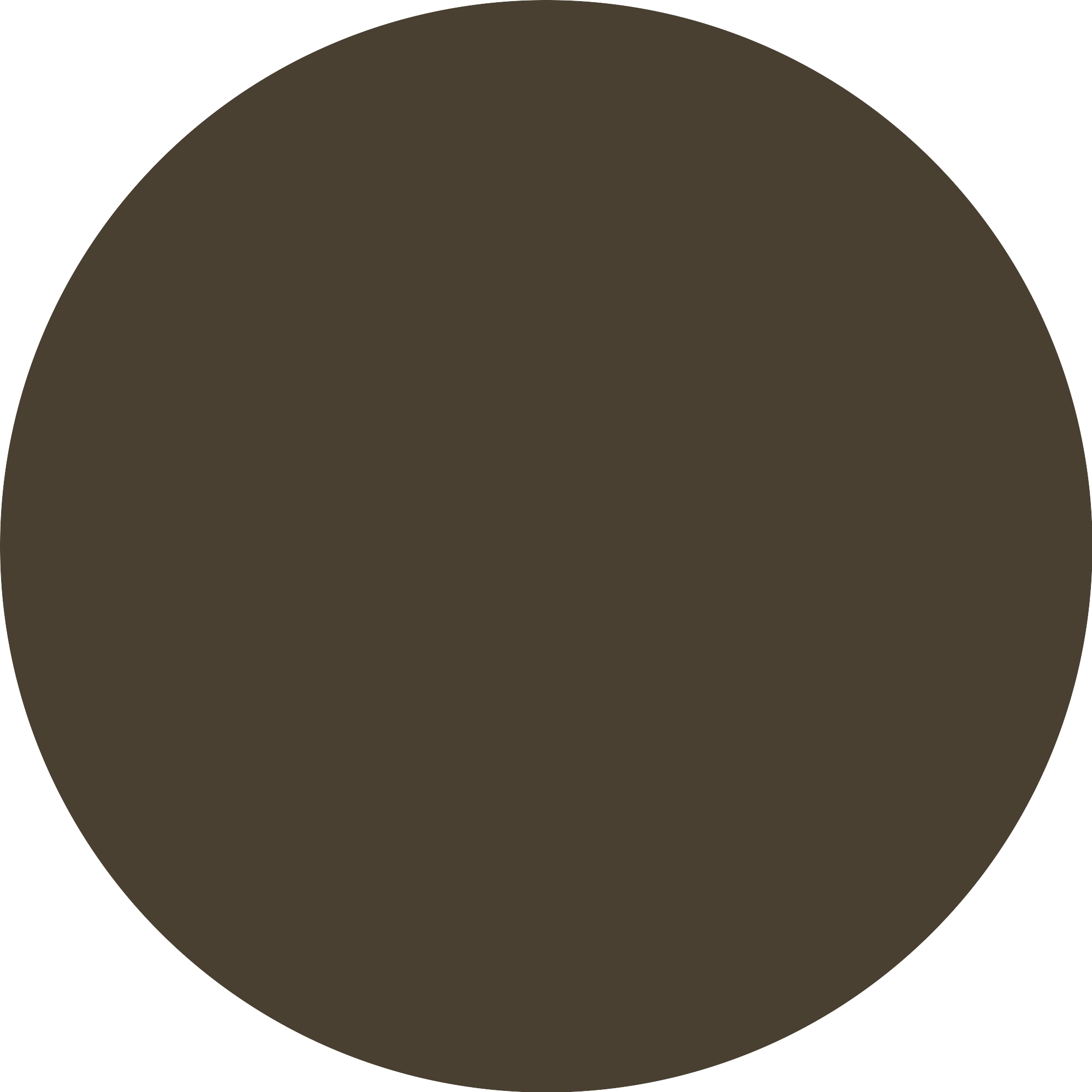 Bild: Catrice Micro Blade Brow Pen Waterproof Bold Espresso 040