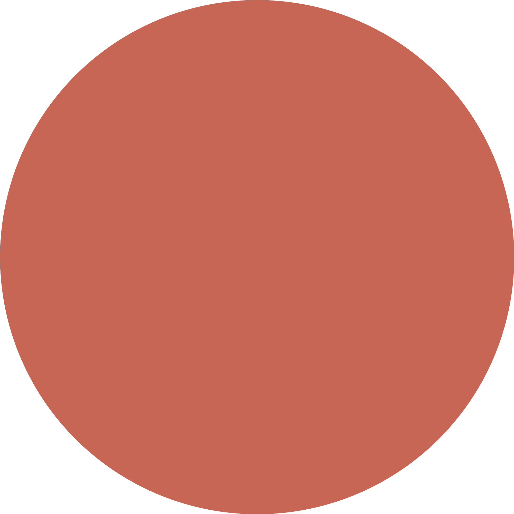 Bild: Catrice Soft Blur Powder Blush Cinnamon Sugar 030