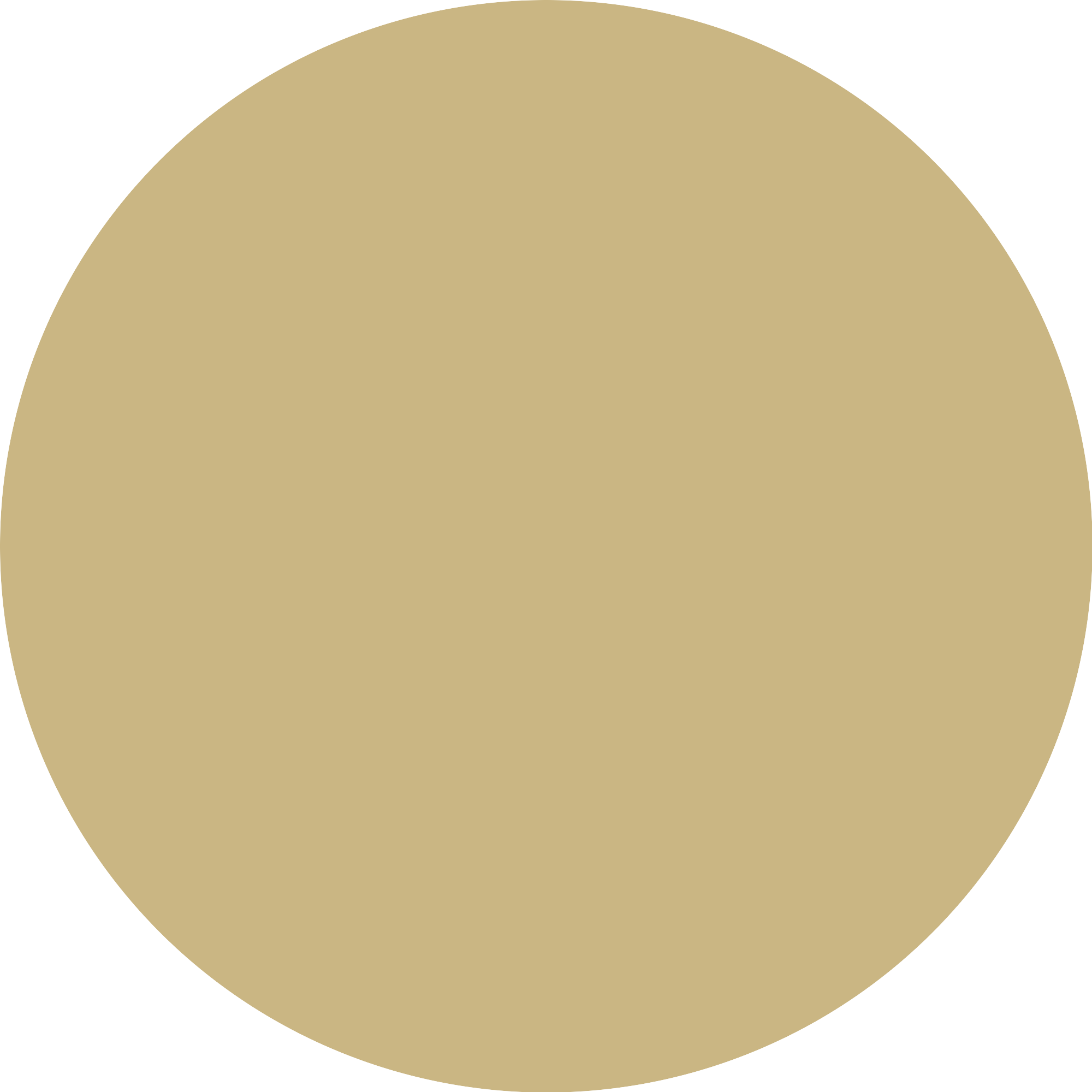 Bild: Catrice GEL AFFAIR Nail Lacquer Olive Opulence 055