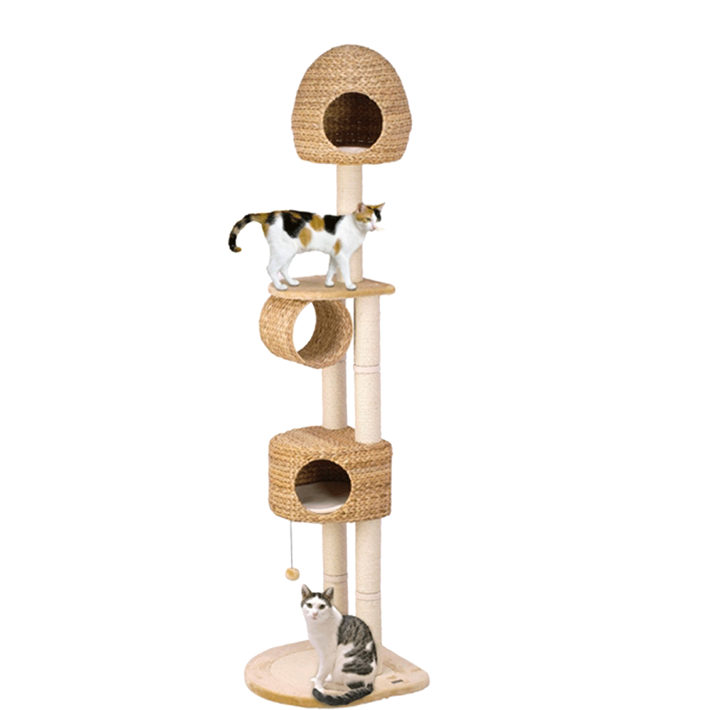 Bild: Karlie Flamingo Banana Leaf 6 De Luxe Kratzbaum