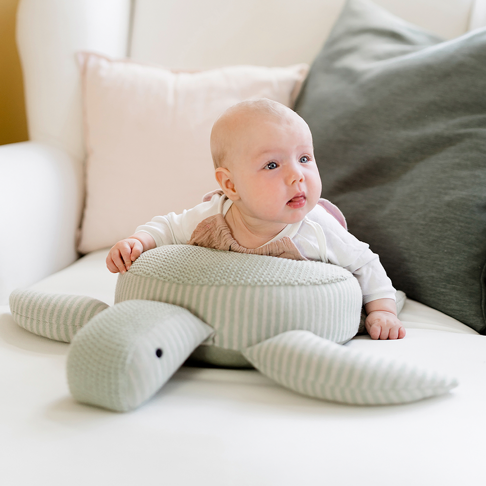 Bild: Kindsgut Kuscheltier Schildkröte 