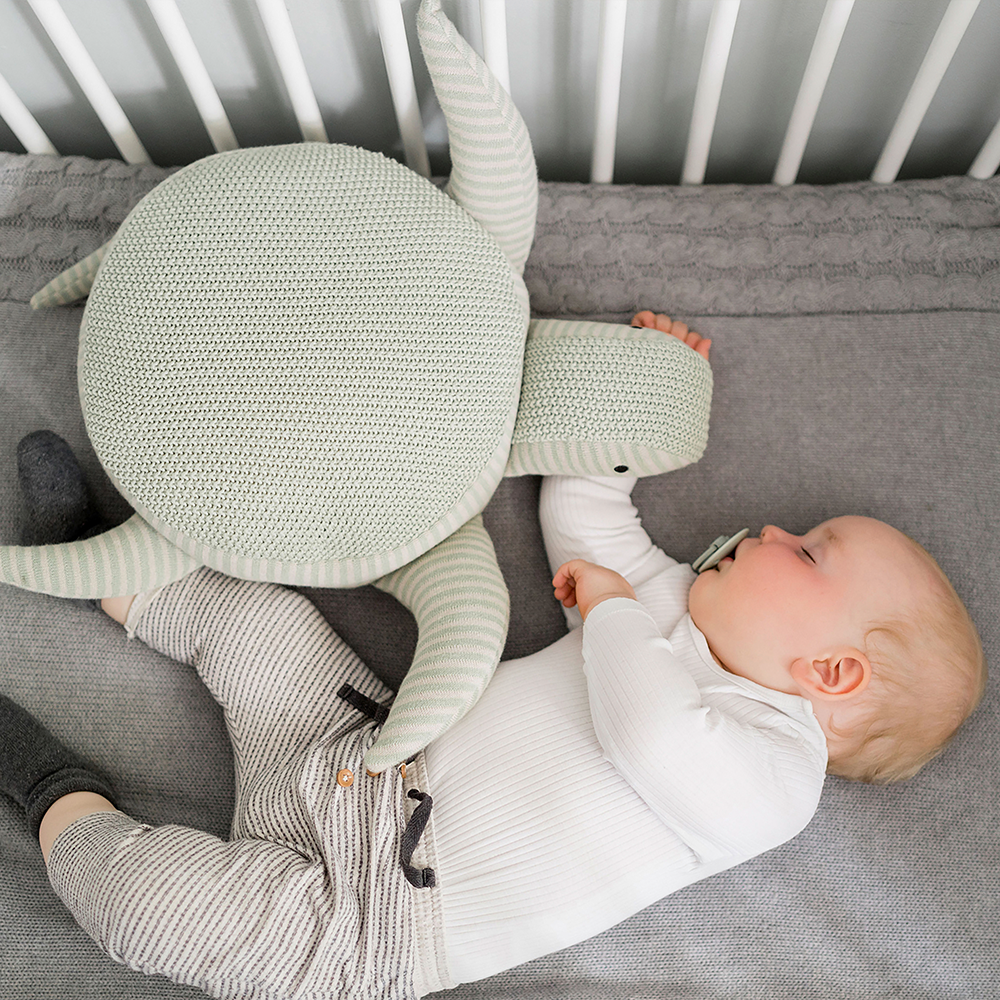 Bild: Kindsgut Kuscheltier Schildkröte 