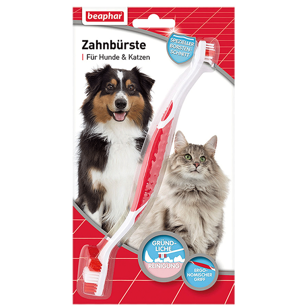 Bild: beaphar Zahnbürste für Hunde & Katzen