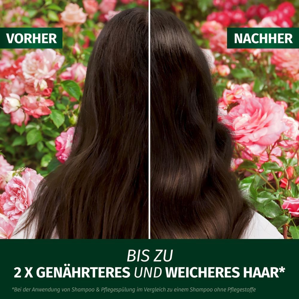 Bild: Herbal essences Blütensaft Schwereloses All In 1 Leave-In Spray mit Rosenduft 