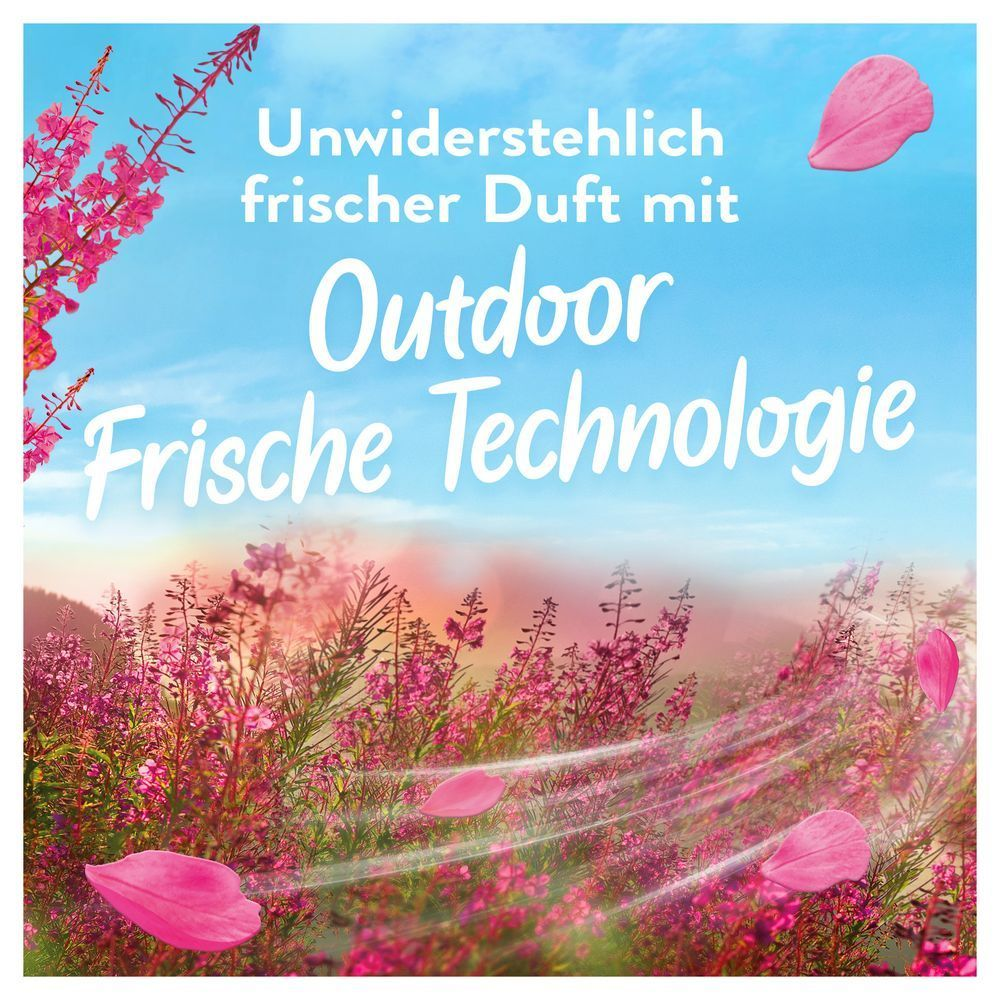 Bild: Lenor Luftfrisch Weichspüler Wildblumenfeld 