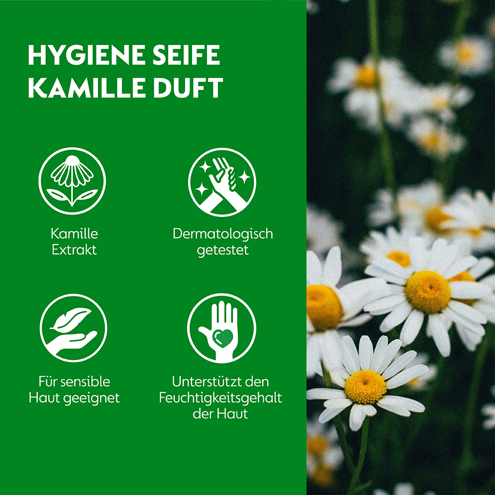 Bild: Dettol No-Touch Nachfüllung Kamille