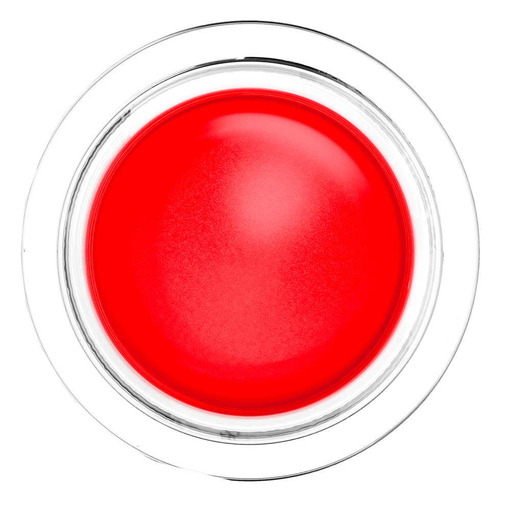 Bild: MAYBELLINE Cloudtopia Blush Divine Crimson 03