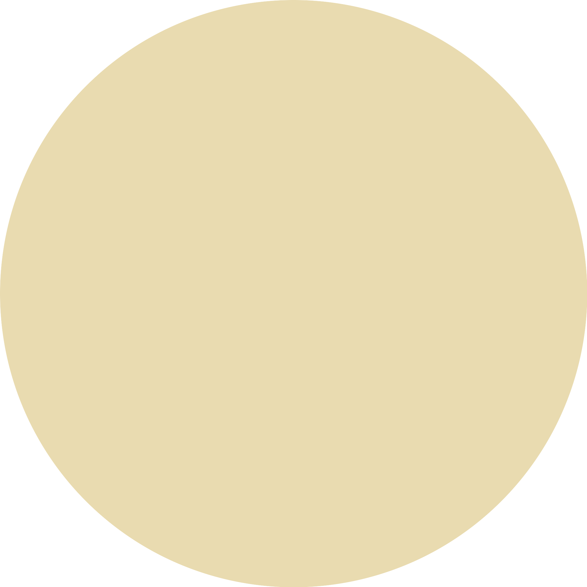 Bild: Catrice BRIDES & BESTIES Glitter Dream Cushion 