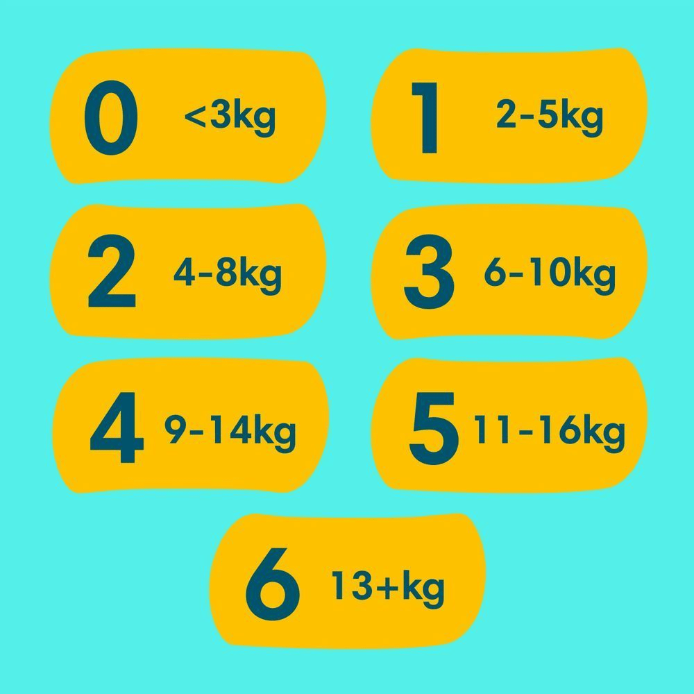 Bild: Pampers Premium Protection Größe 1, 2kg - 5kg