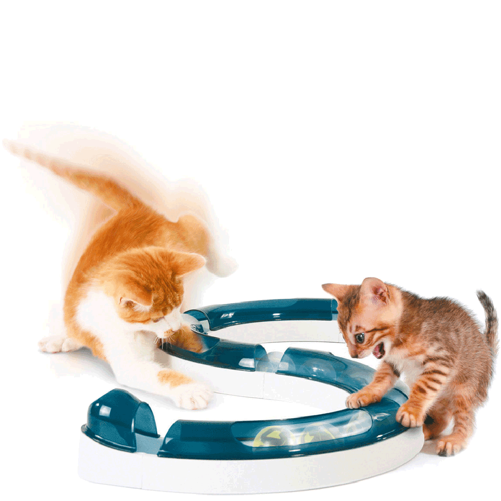 Bild: catit Design Senses Spielschiene für Katzen