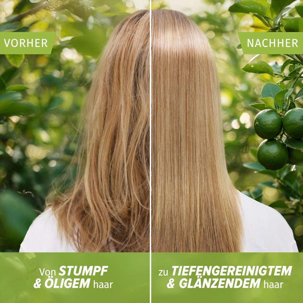 Vorher-Nachher-Vergleich zeigt stumpfes, öliges Haar verwandelt in tiefengereinigtes, glänzendes Haar.