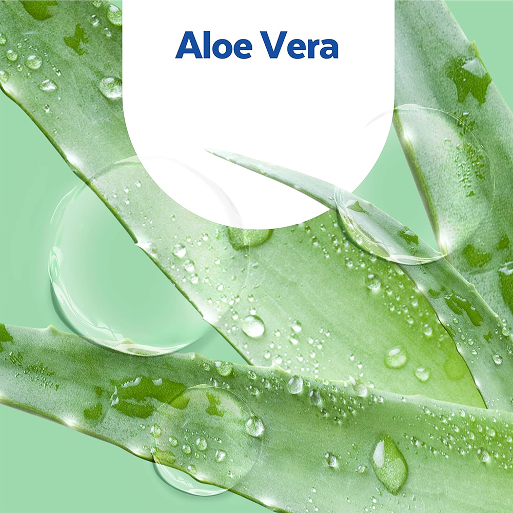 Bild: SAGROTAN Hygiene Seife Nachfüller Aloe Vera Duft 