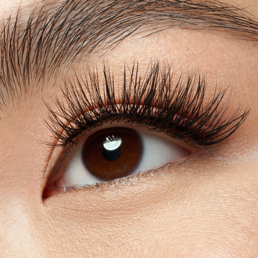 Bild: essence what the FAKE! false lashes Dramatic Curl 02