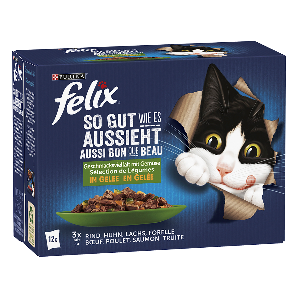 Bild: Felix Gemischte Vielfalt mit Gemüse in Gelee 