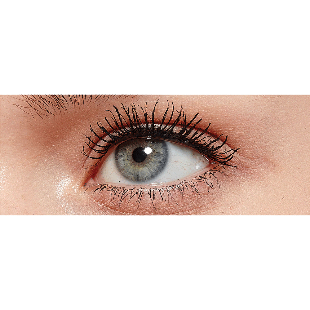 Bild: L'ORÉAL PARIS False Lash Mascara Black Waterproof