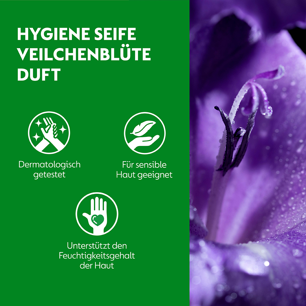 Bild: Dettol No-Touch automatischer Seifenspender Nachfüllseife Veilchen 