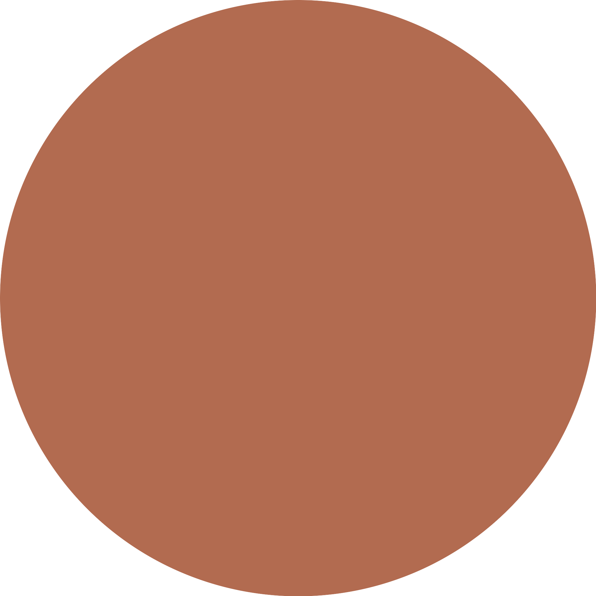 Bild: Catrice Soft Blur Powder Blush Born to blonze 050