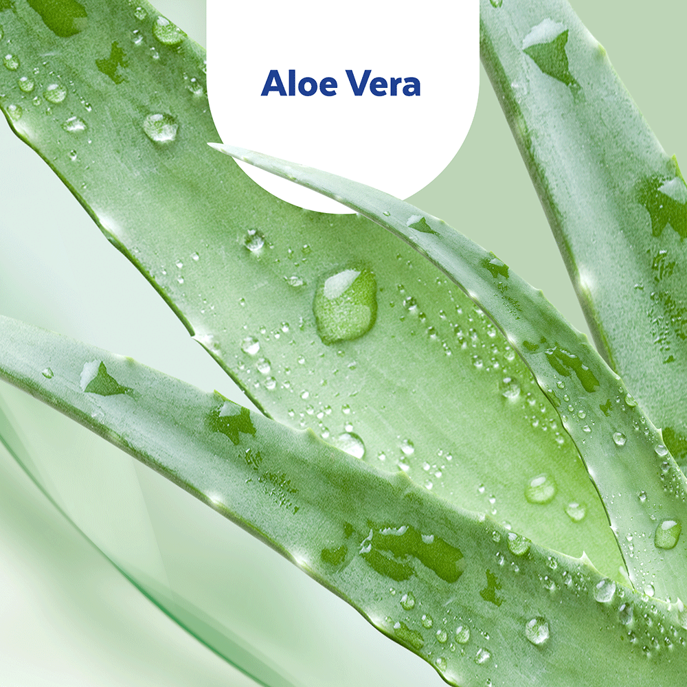 Bild: SAGROTAN Desinfektionshandgel Aloe Vera