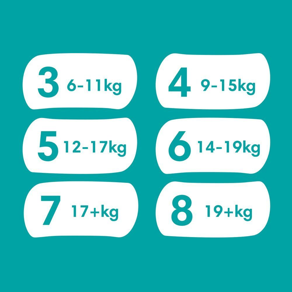 Bild: Pampers Baby-Dry Pants Größe 8, 19kg+