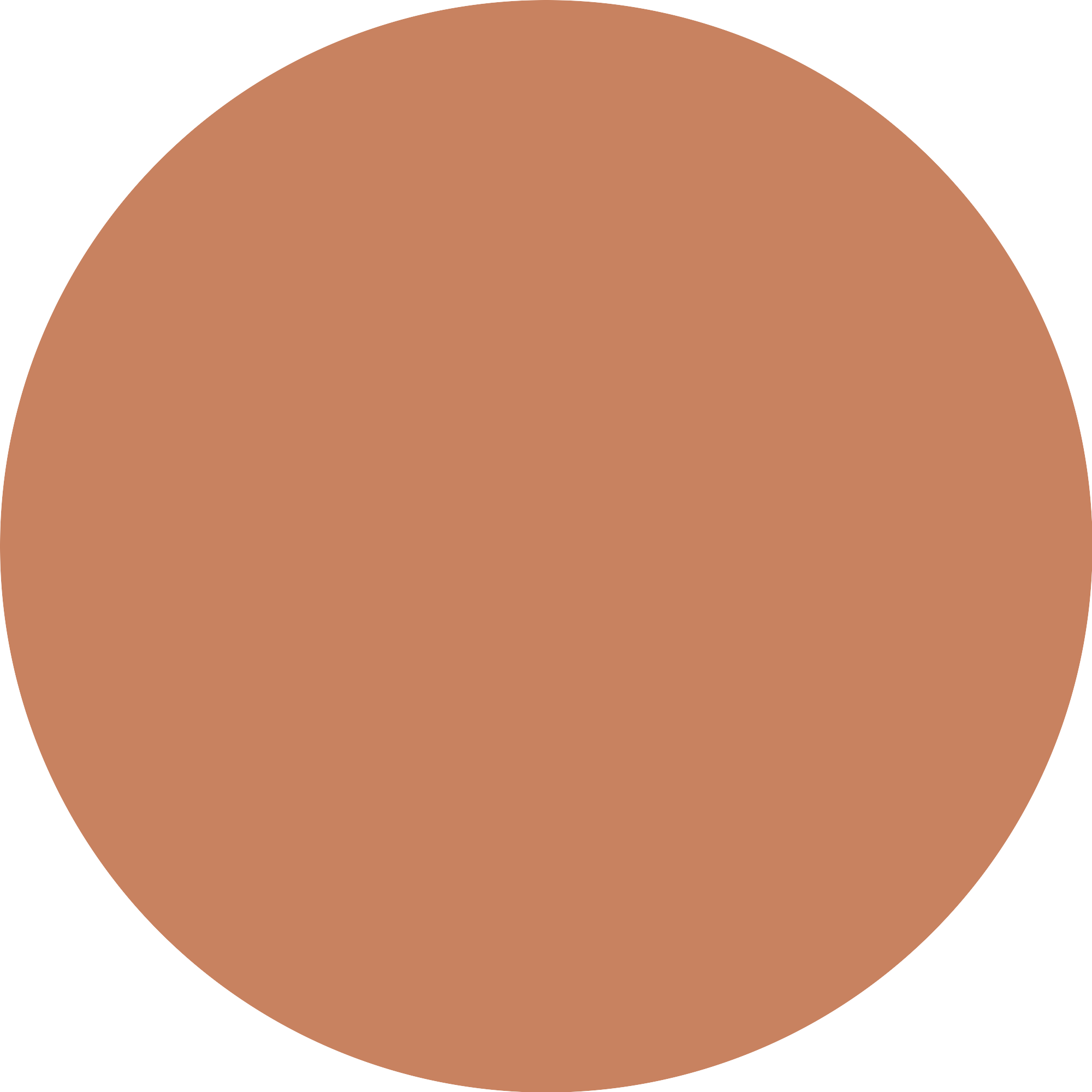 Bild: Catrice Soft Glam Baked Blush Blonzer Heat