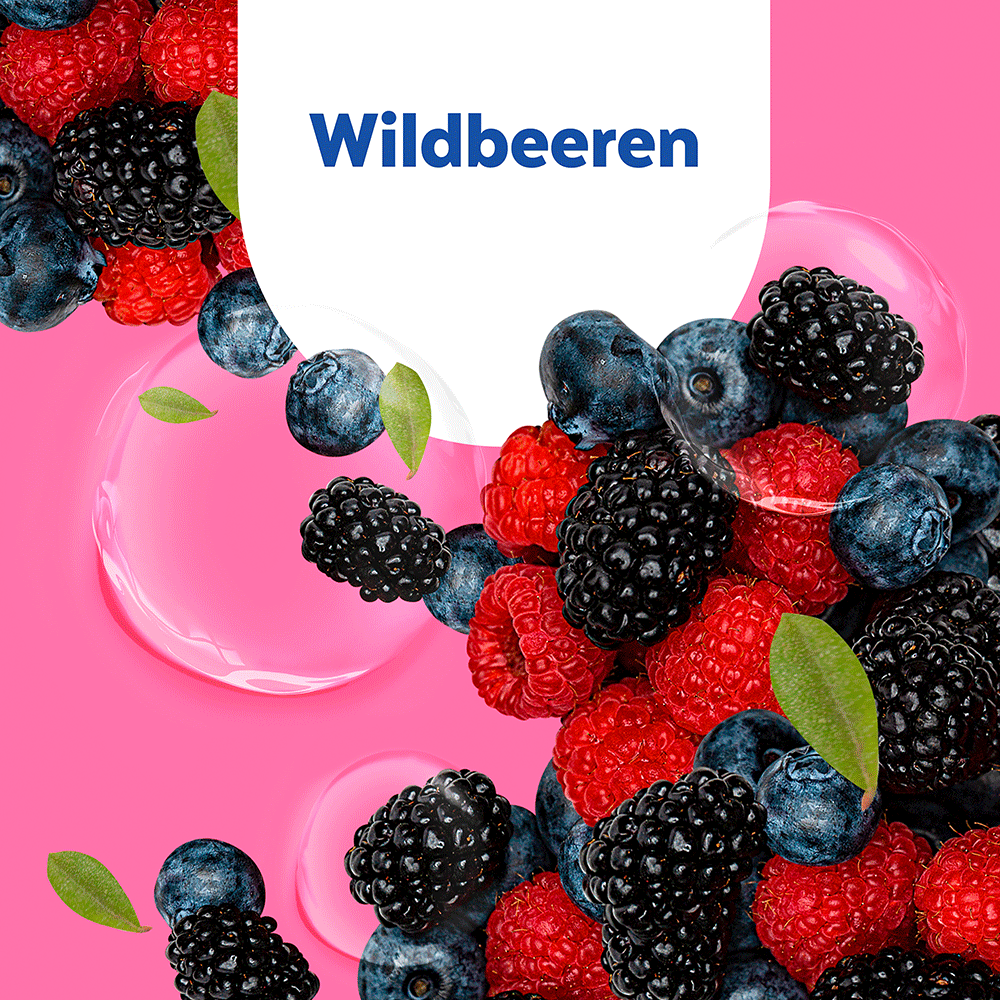 Bild: SAGROTAN Hygiene Seife Nachfüller Wildbeeren Duft 