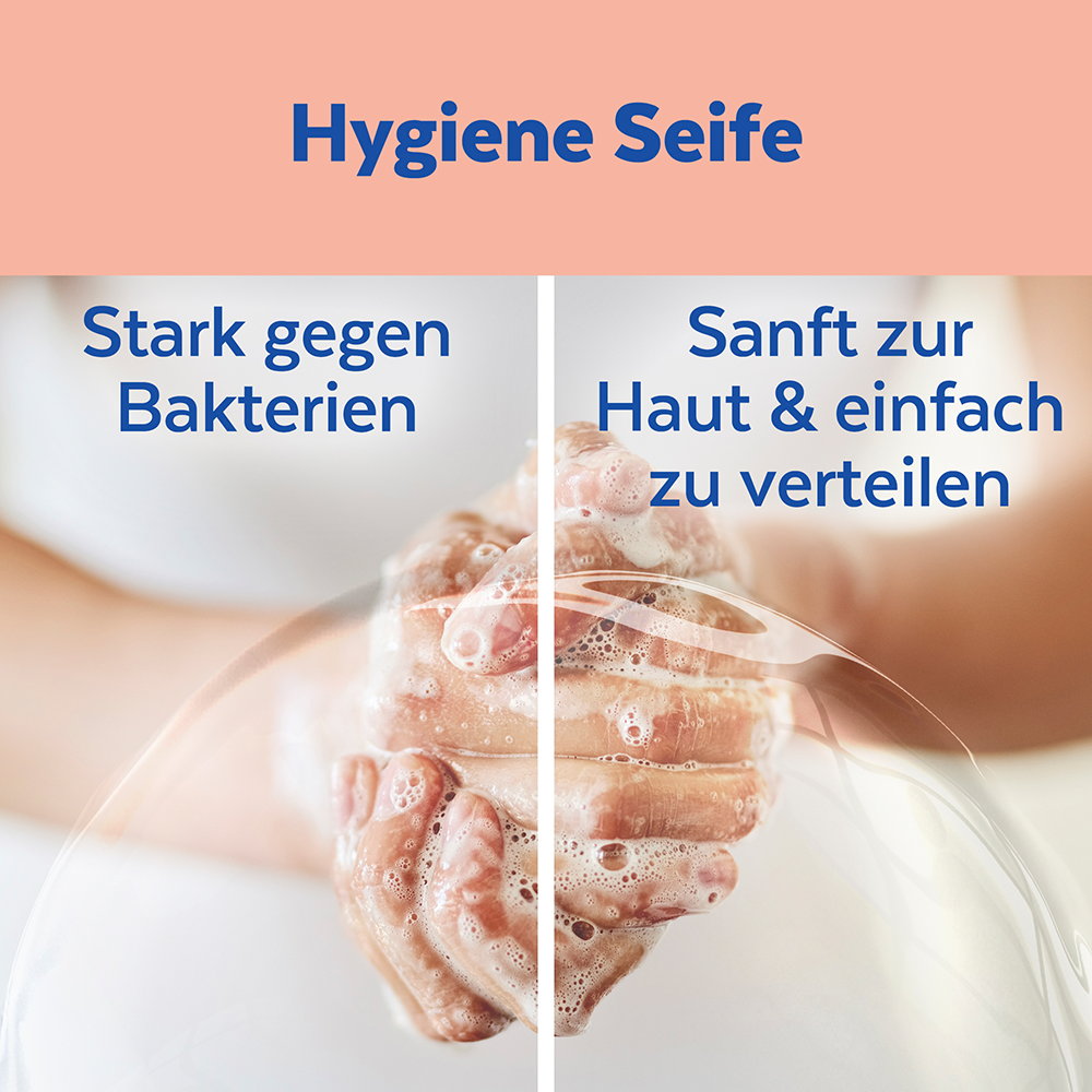 Bild: SAGROTAN Hygiene Seife Nachfüller Sardinia Dreams 