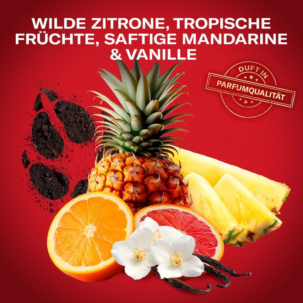Old Spice Duft mit Noten von wilder Zitrone, tropischen Früchten, saftiger Mandarine und Vanille in Parfümqualität.