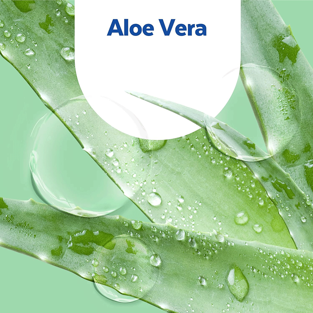 Bild: SAGROTAN Hygiene Seife Nachfüller Aloe Vera Duft 