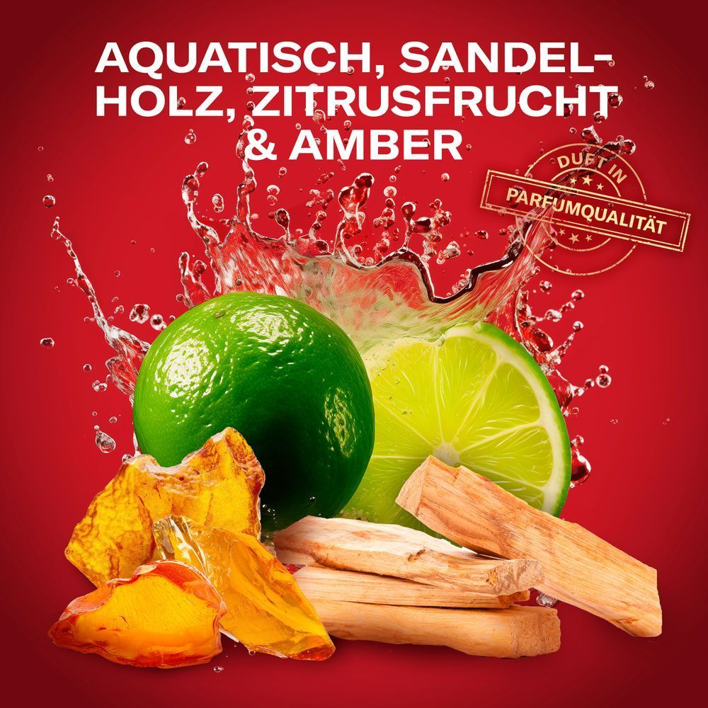 Old Spice Duft mit aquatischen, Sandelholz-, Zitrusfrucht- und Amber-Noten, ausgezeichnet mit einem Siegel für Parfümqualität.