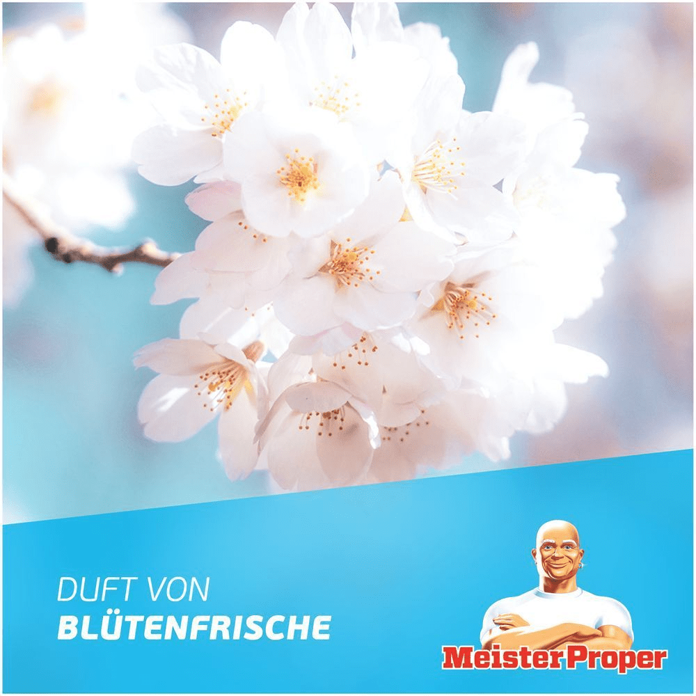 Frische, blühende Kirschblüten symbolisieren den Duft von Blütenfrische, den Meister Proper ins Haus bringt.
