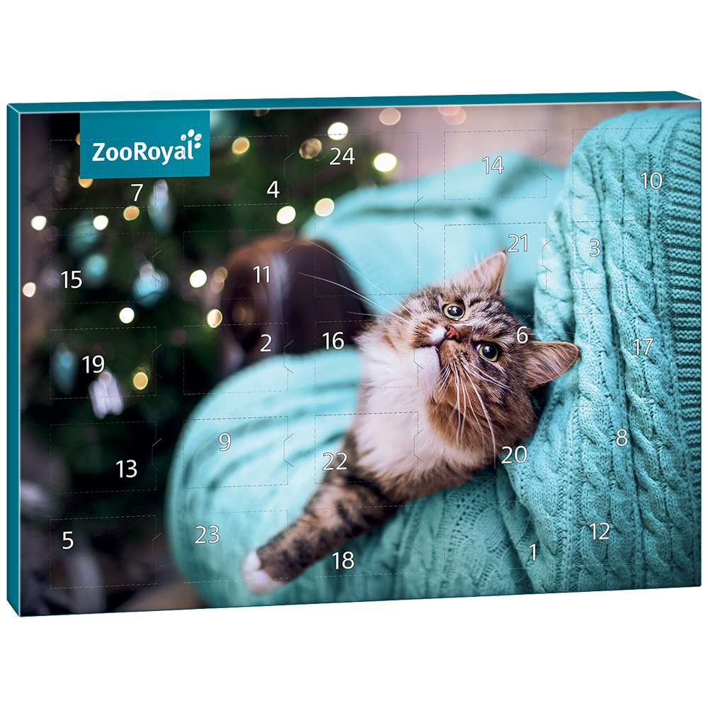 Bild: ZooRoyal Adventskalender Katze 