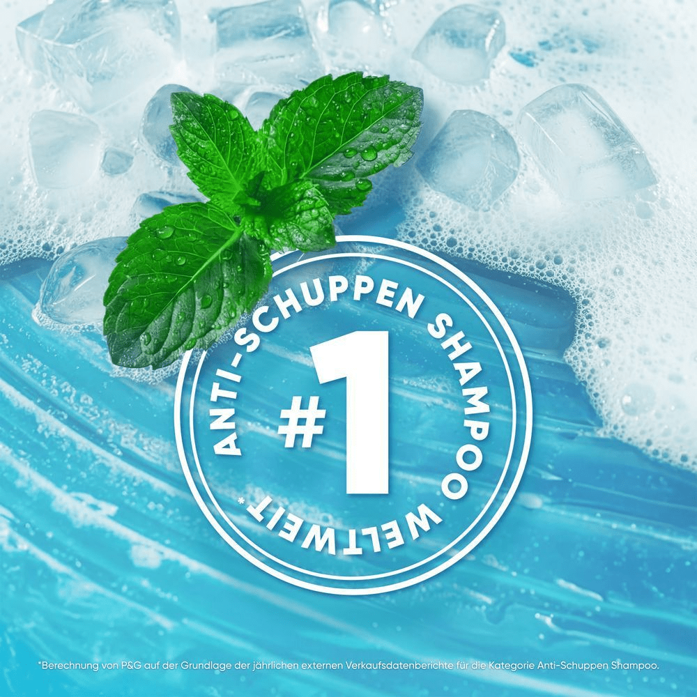 Frische Minzblätter auf Eiswürfeln mit dem Logo "ANTI-SCHUPPEN SHAMPOO #1 WELTWEIT"