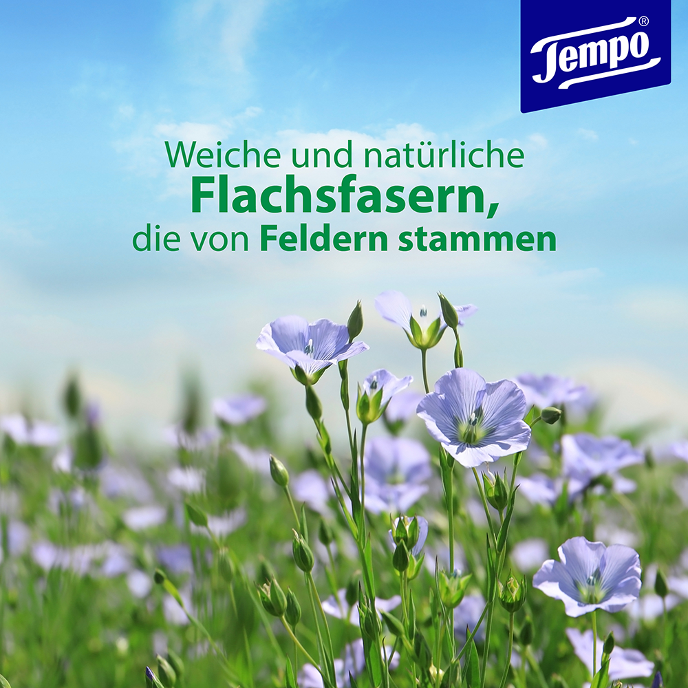 Bild: Tempo Feuchtes Toilettenpapier Meeresmineralien 