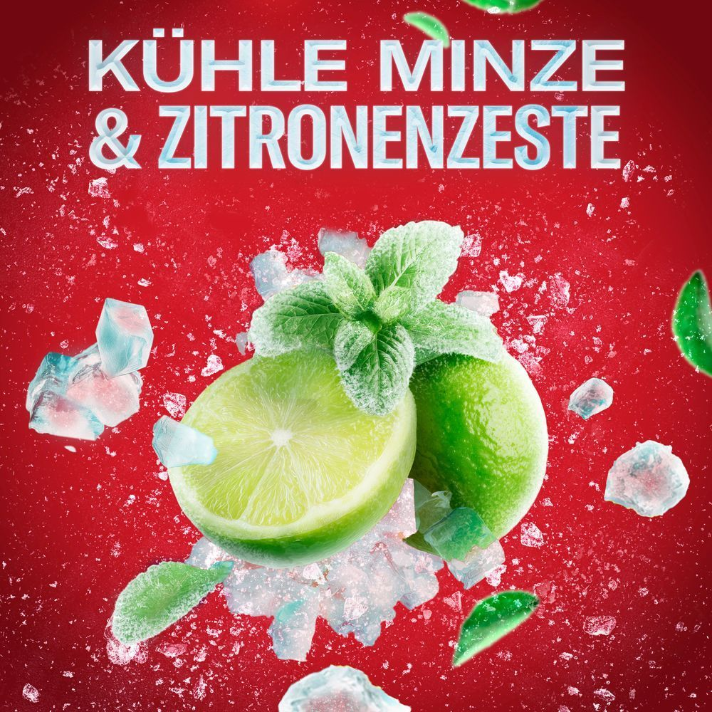 Kühle Minze & Zitronenzeste mit frischen Limetten, Minze und Eiswürfeln.