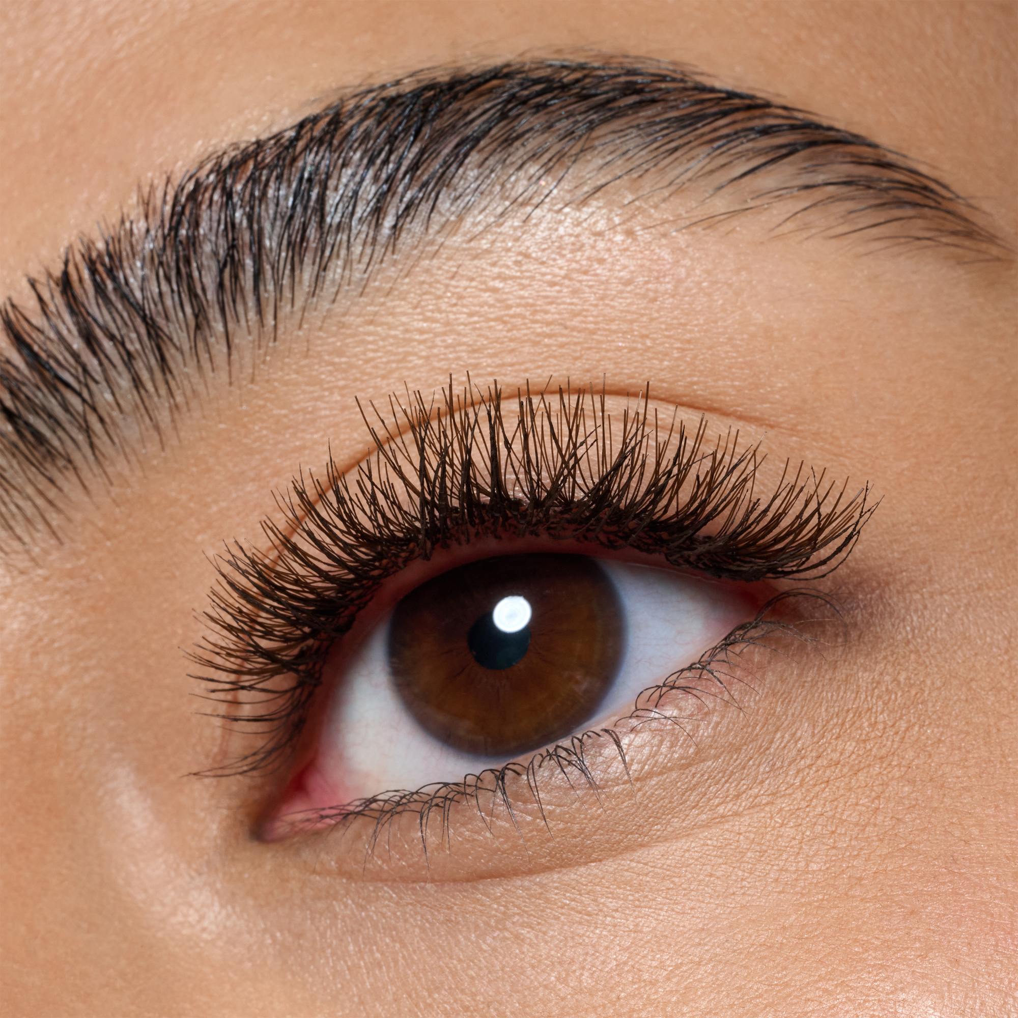 Bild: Catrice FAKED BROWN CLUSTER LASHES 