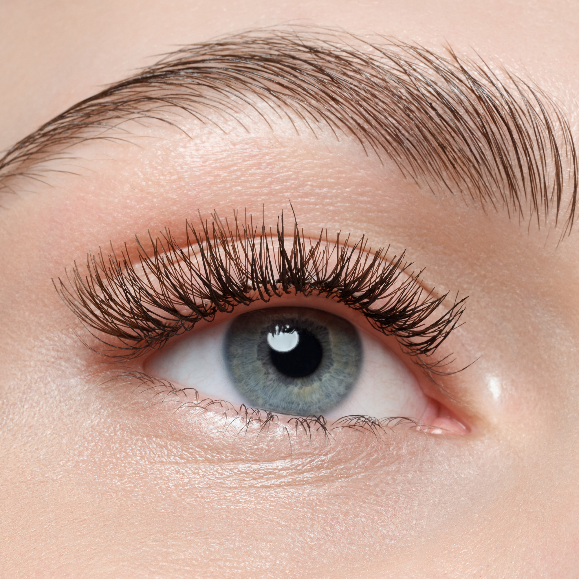Bild: Catrice FAKED BROWN CLUSTER LASHES 
