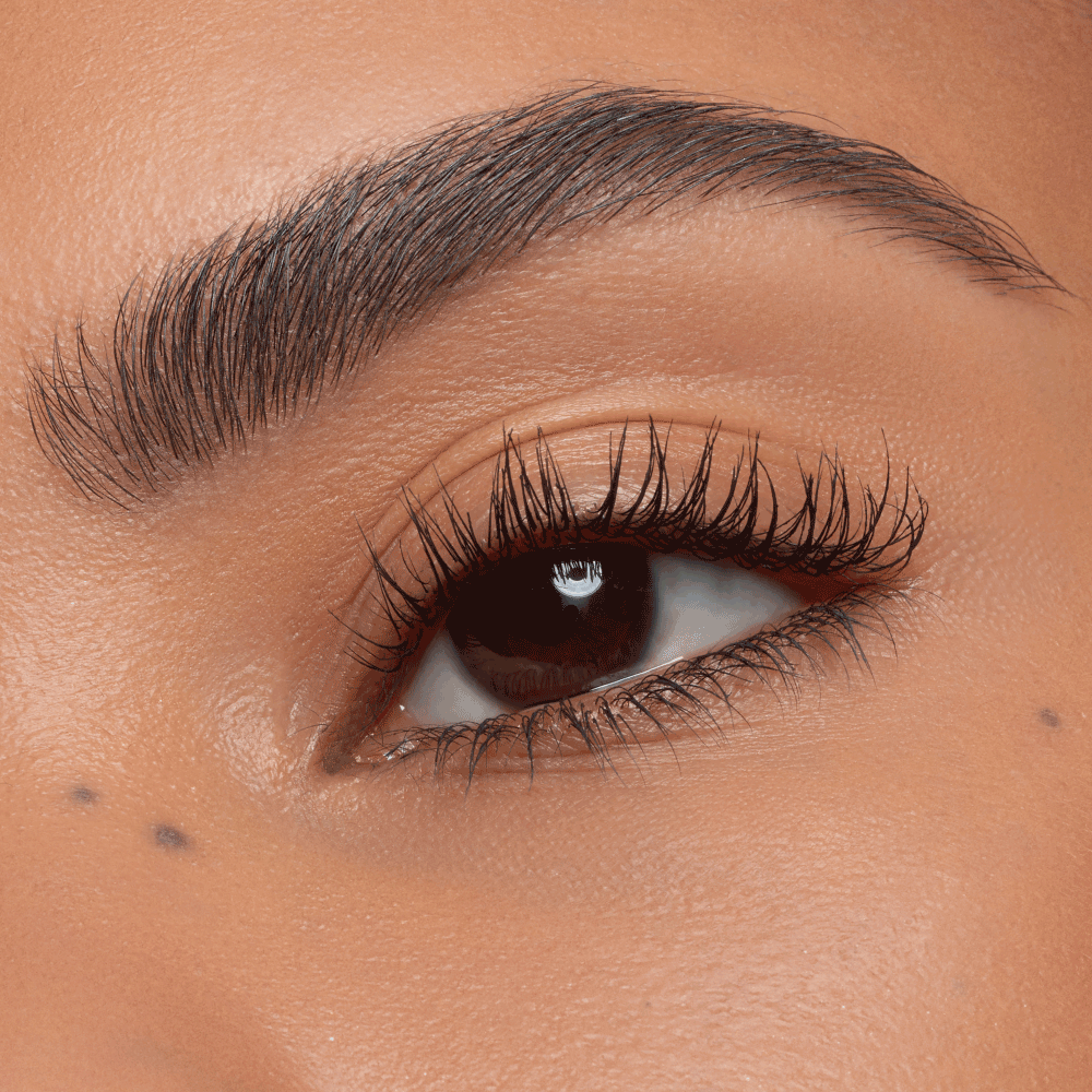 Bild: essence Mascara Lash Without Limits Extreme Lengthening & Volume 