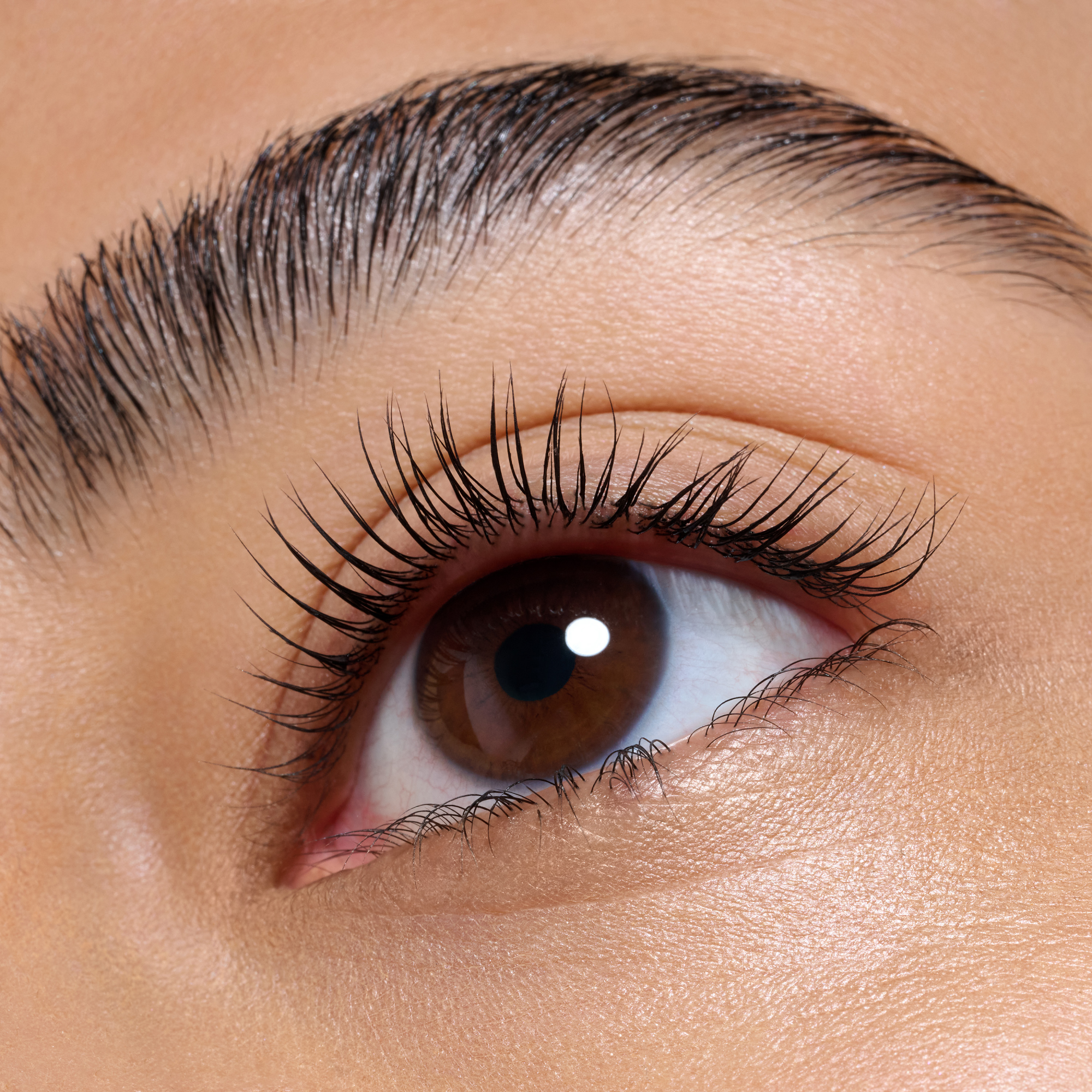 Bild: Catrice Glam & Doll Curl Freeze Lash Sculpt Gel