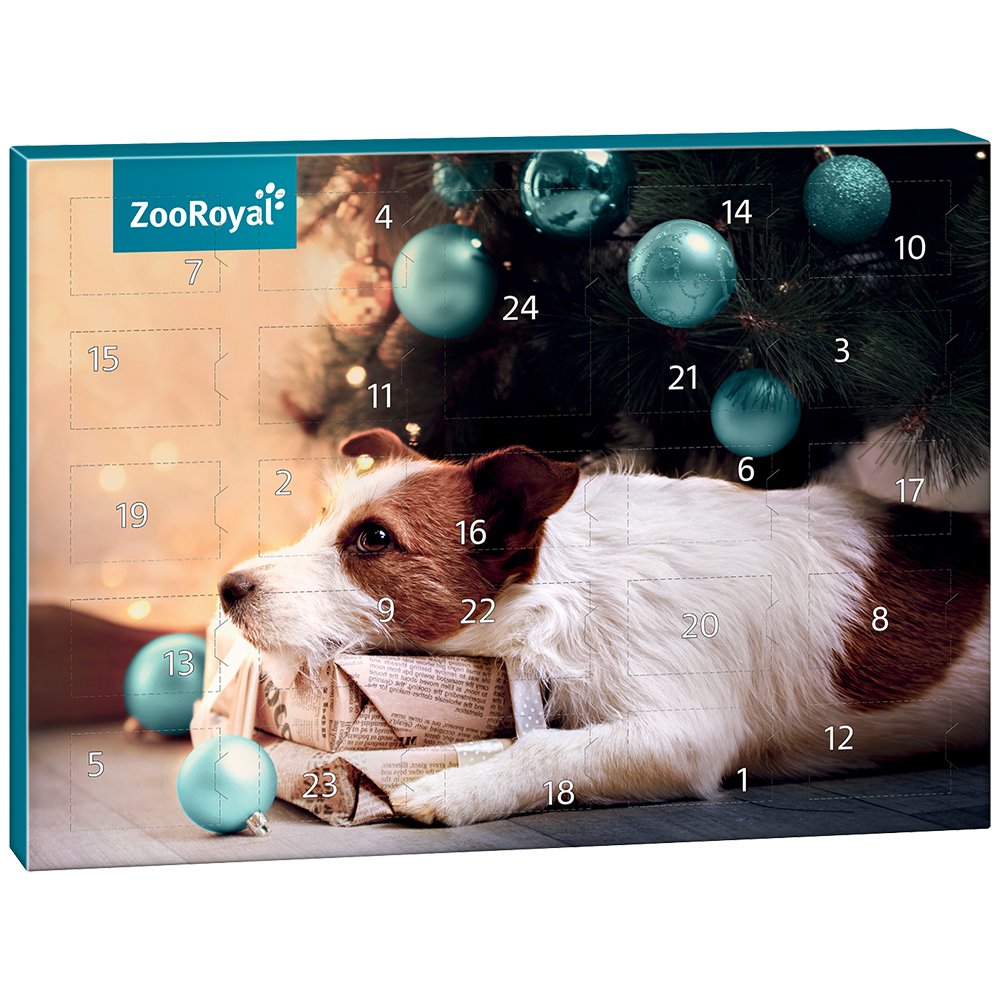 Bild: ZooRoyal Adventskalender Hund