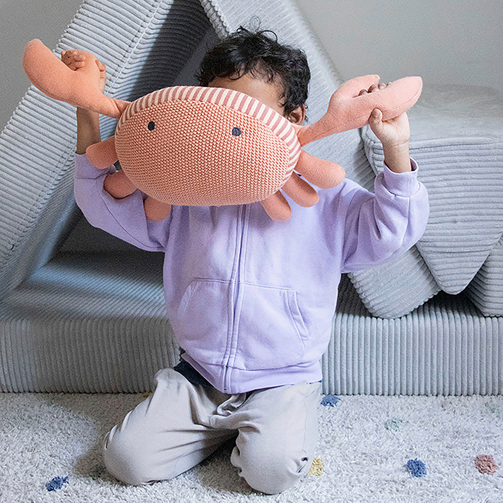 Bild: Kindsgut Kuscheltier Krabbe
