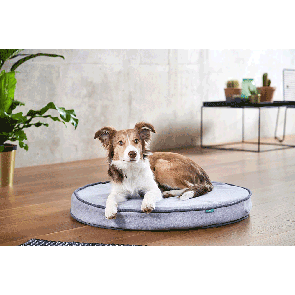 Bild: ZooRoyal Hundekissen Elias grau