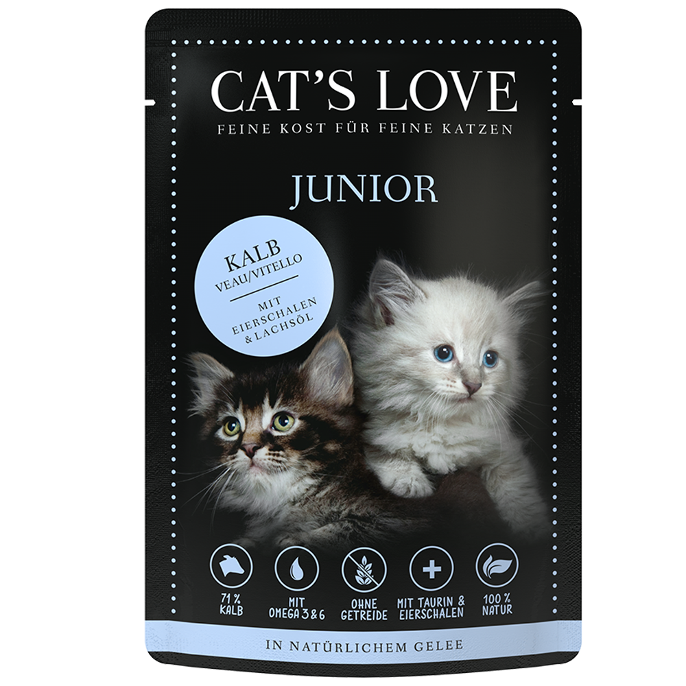Bild: CAT'S LOVE Junior Kalb