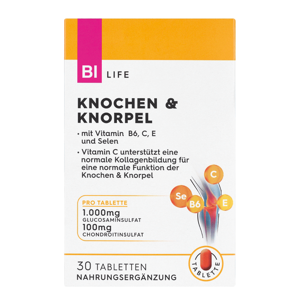 Bild: BI LIFE Knochen und Knorpel