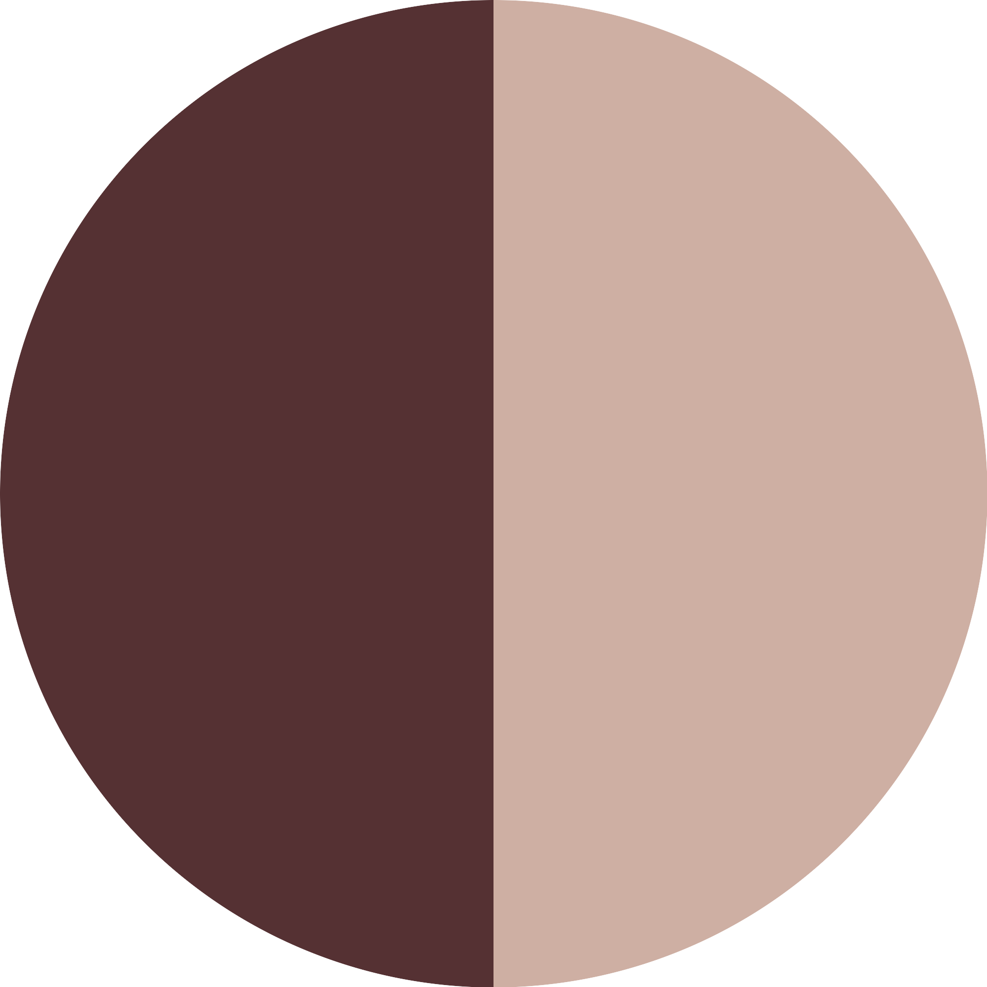 Bild: Catrice CATRICE EYESH. DIAMOND POWDER 060 Burgundy Glitz