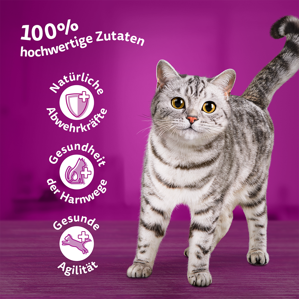 Bild: Whiskas Geflügel Ragout in Gelee